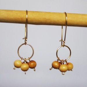 Gold Single Ring Dangle Drop Earrings with Wood